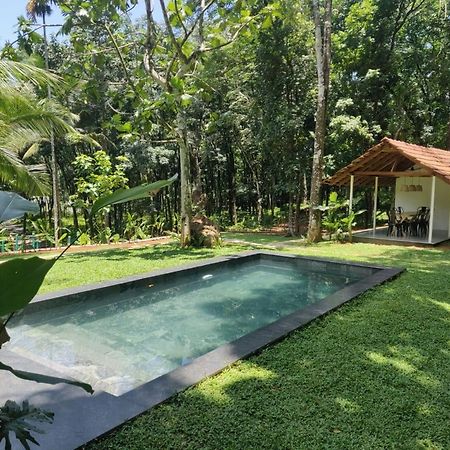 Pool Villa - The Humming Trees, Pala Lālam Extérieur photo