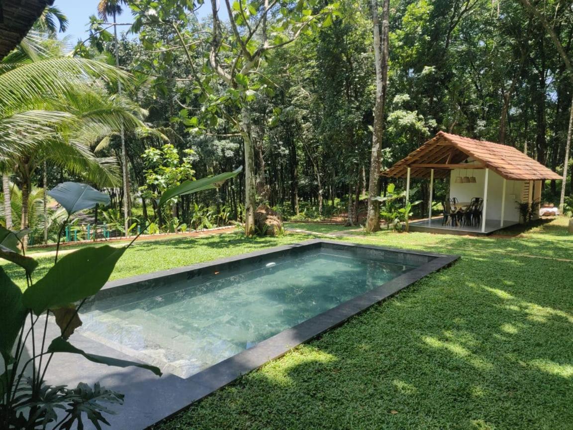 Pool Villa - The Humming Trees, Pala Lālam Extérieur photo